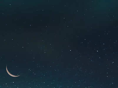 What each zodiac will be doing in the night...