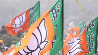 BJP picks ex-CMs, senior leaders as in-charges for various states