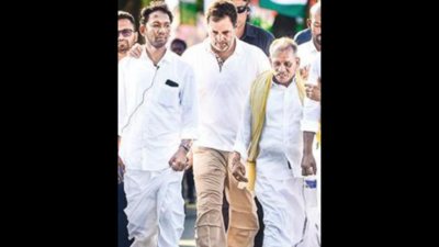 Tamil Nadu: Rahul Gandhi's cryptic replies add to suspense over Congress chief poll