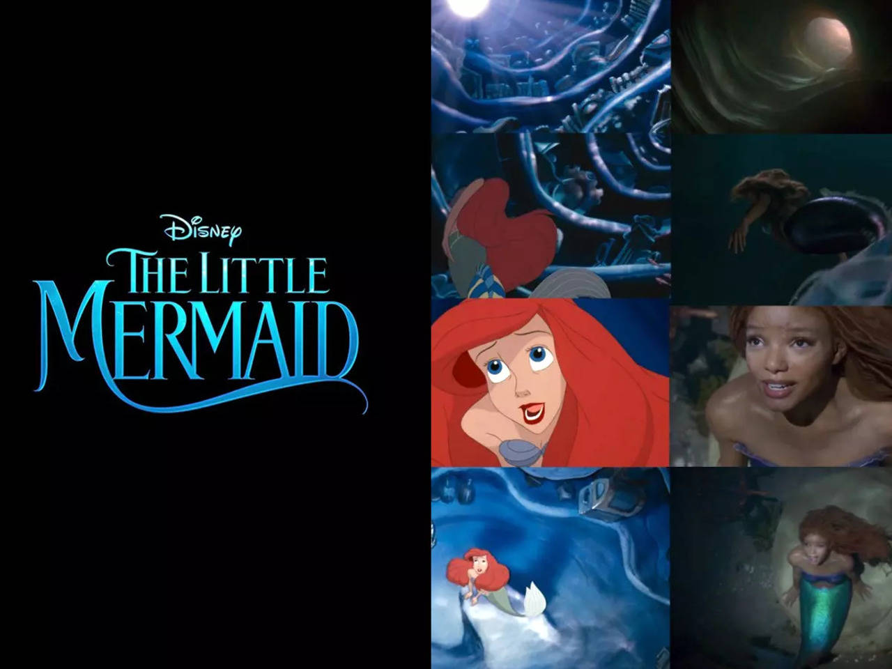 The Little Mermaid: Fans blown away by live-action accuracy of Halle Bailey  starrer | English Movie News - Times of India