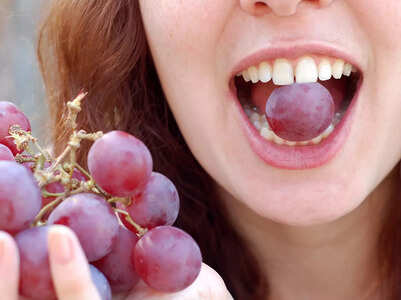 Grapes can help increase the lifespan