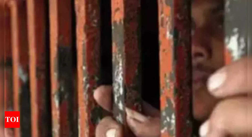 22% rise in number of mentally ill jail inmates: NCRB | India News – Times of India