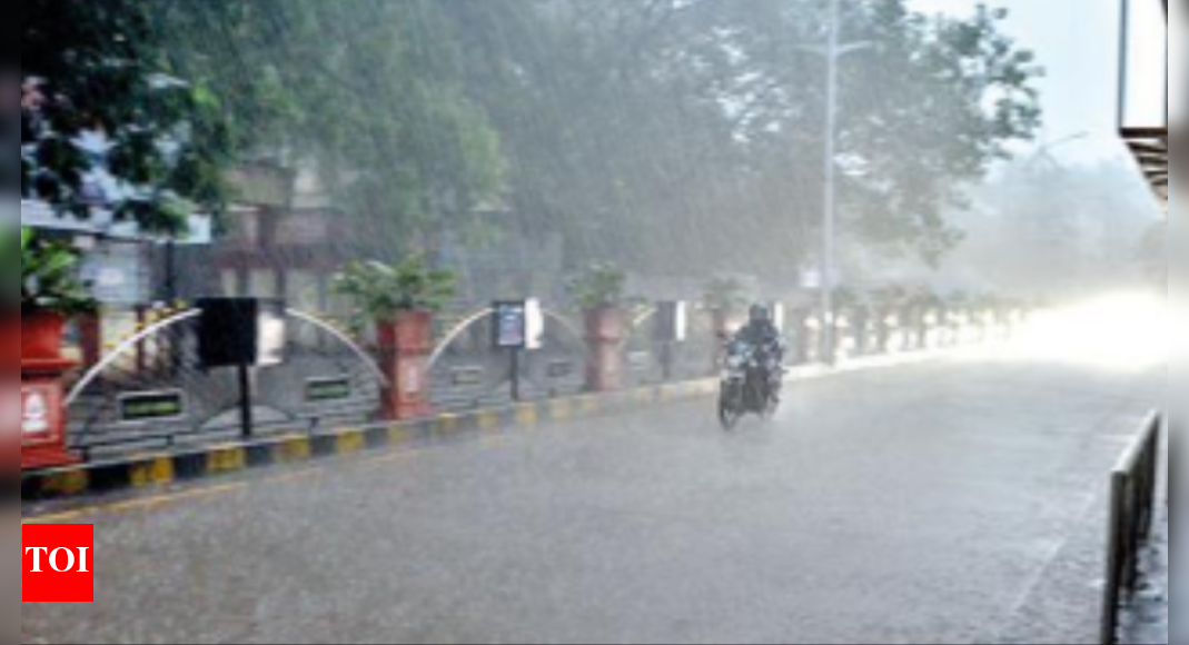 5 killed in Nashik in rain-related incidents | Nashik News - Times of India