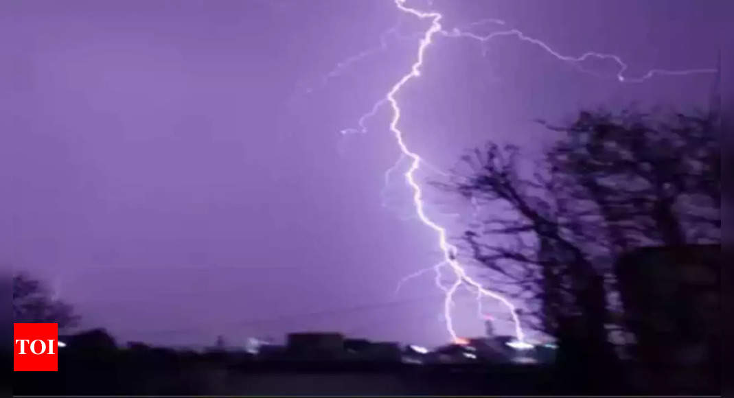 Lightning Kills Six In 3 Districts | Vadodara News - Times of India