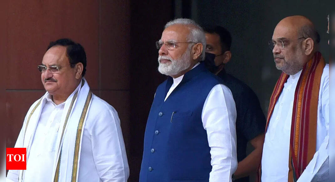 Lok Sabha 2024: BJP eyes bigger pie in key southern state