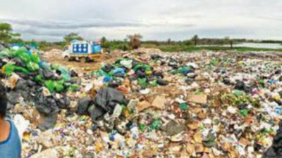 Bengaluru: Sewage, waste spark health concerns among workers