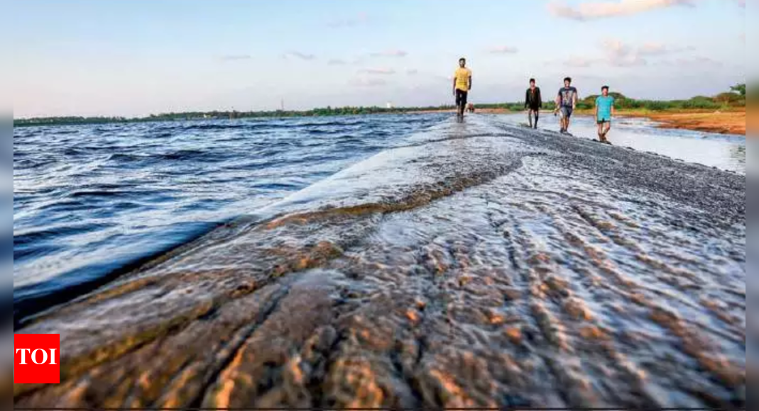 Tamil Nadu: Two teenagers washed away in Palar river | Chennai News ...