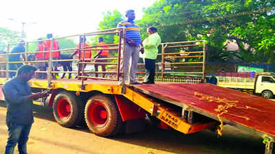 special vehicle to impound stray cattle in Trichy