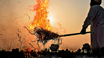 banner img