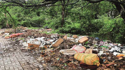 Pune: Pile-up of garbage along Aundh-Baner Link Road