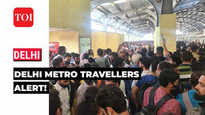 Tech issue on train halts services between Sultanpur, Ghitorni on Delhi Metro's Yellow Line