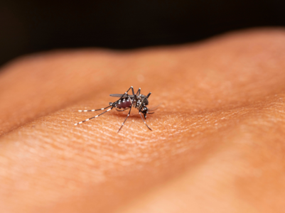 Dengue: Expert stresses on IgG test