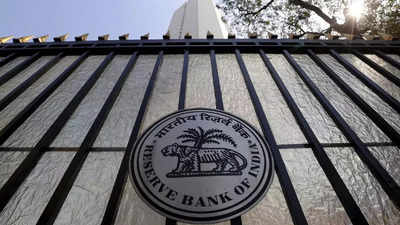 RBI deputy governor pitches for data law to protect customers' privacy