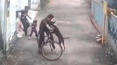 Kozhikode: Video of dog attacking 12-year-old boy in Kozhikode district