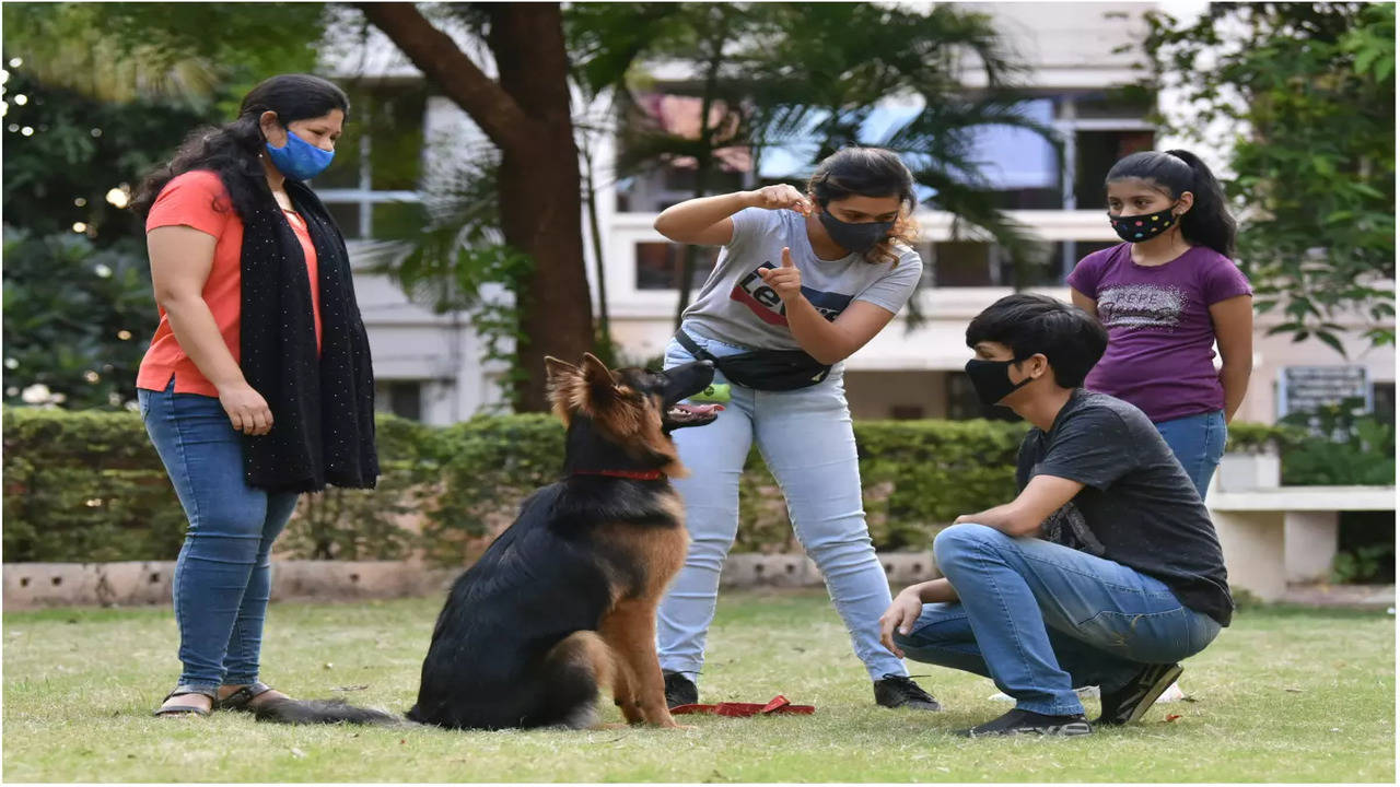 Mohan singh dog store trainer