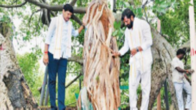 banner img
