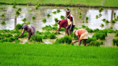 Raitha Dasara aims to sensitise farmers on integrated farming