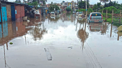 17 bridges under water in Karnataka's Belagavi district