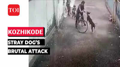 Shocking video of stray dog attacking boy surfaces in Kerala
