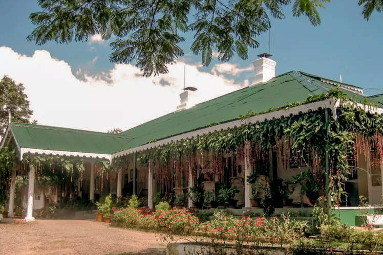Glenburn Tea Estate in Darjeeling, West Bengal