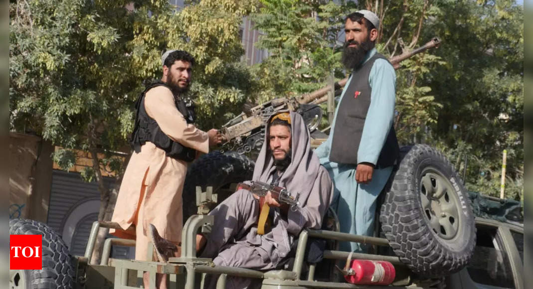 Taliban reject UN report, say no women fired from government jobs – Times of India