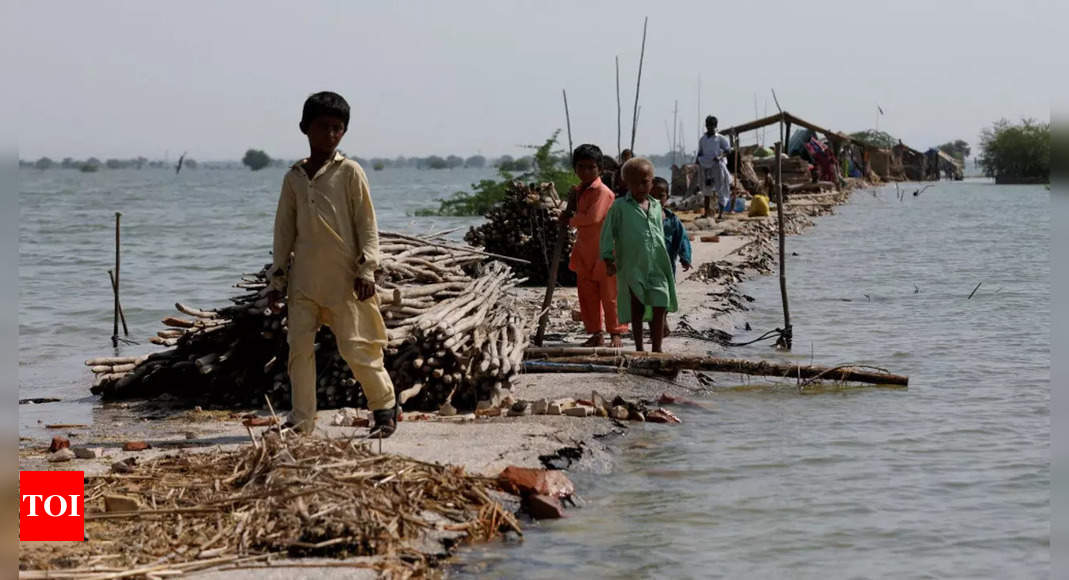Pakistan’s estimated economic loss due to massive floods might be over $40 billion: Minister – Times of India