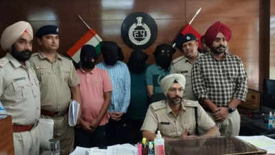 Crypto trading fraud: Racket busted, property worth Rs 60 lakh, 13 bank accounts seized by Ambala police