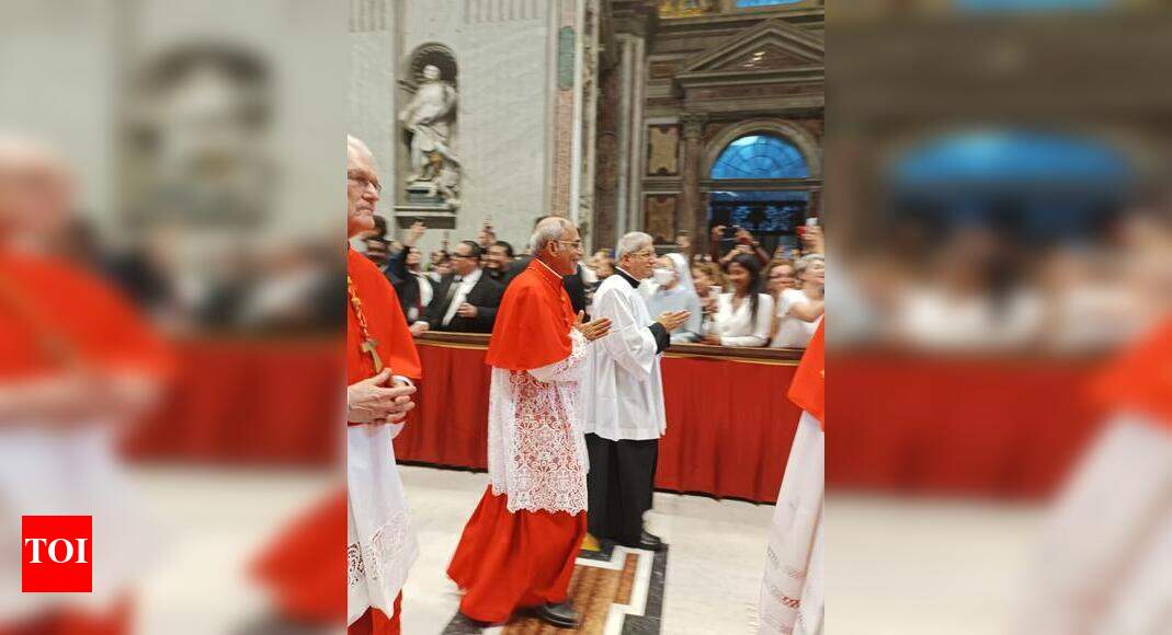 Clergy, youth from Daman to attend Mass for new cardinal | Goa News ...