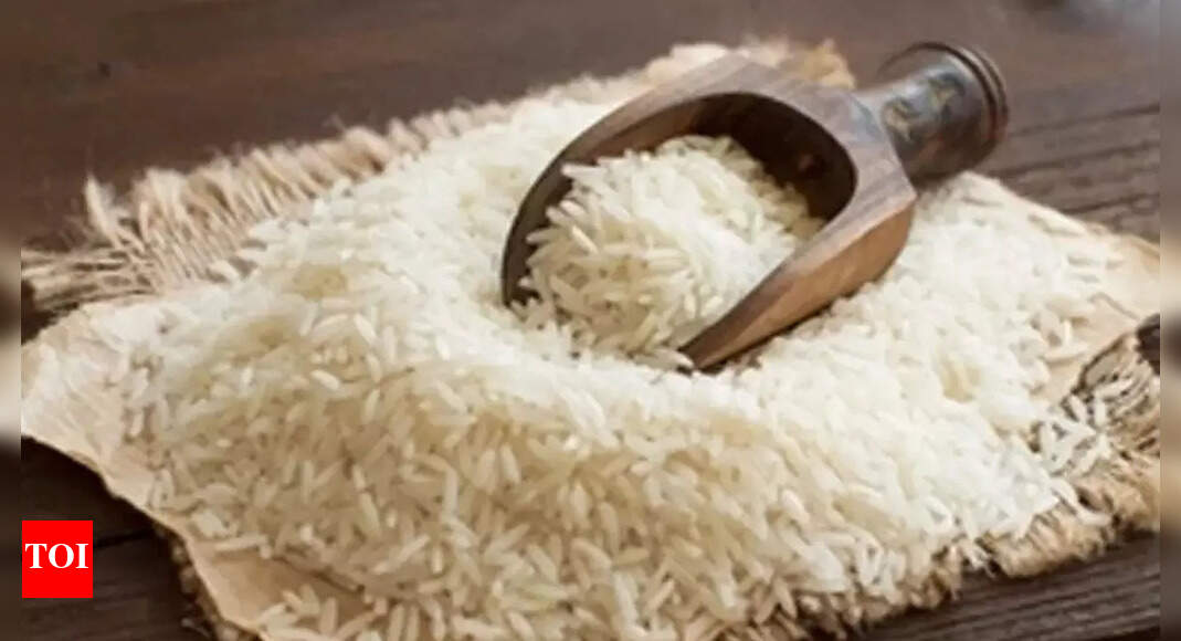 Karnal: Basmati rice prices fall as harvesting picks up | Gurgaon News ...
