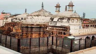 Shringar Gauri-Gyanvapi case plaintiff files a caveat in Allahabad HC