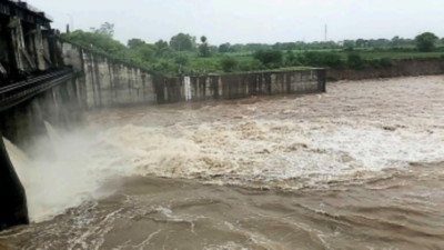 Madhya Pradesh: Water level rises as heavy rain lashes Malwa-Nimar