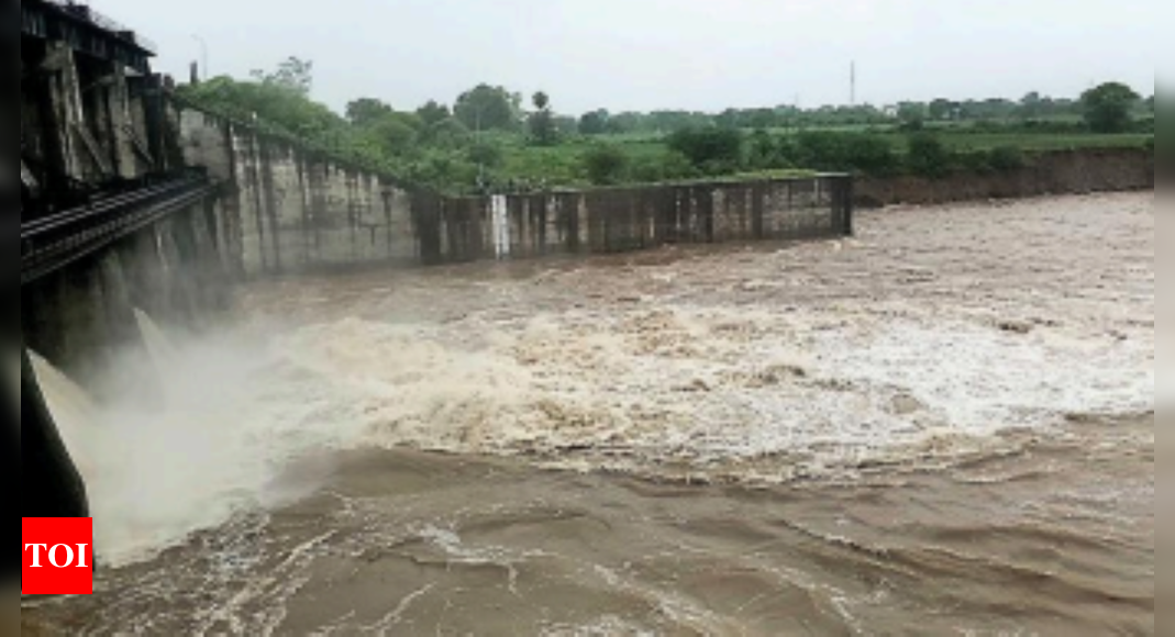 Madhya Pradesh Water Level Rises As Heavy Rain Lashes Malwa Nimar Indore News Times Of India 