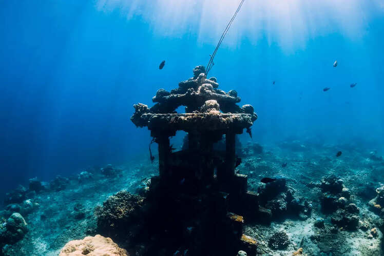 Underwater Pemuteran Temple Garden