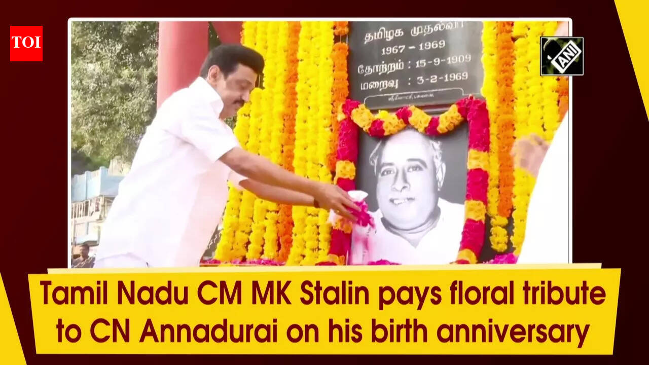 tamil nadu: Tamil Nadu CM MK Stalin pays floral tribute to CN Annadurai ...
