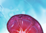 Habits that are harmful for your kidneys