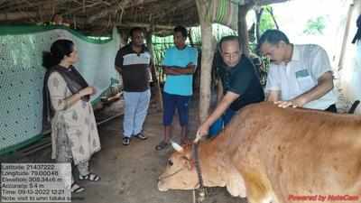 Lumpy cases low in state’s cattle due to ‘acquired immunity’