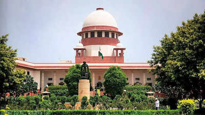 Statute not static, why can’t it provide for EWS quota: Supreme Court