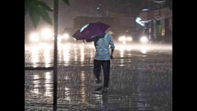 Schools, anganwadi centres to remain closed on Friday due to heavy rain alert: Nainital DM