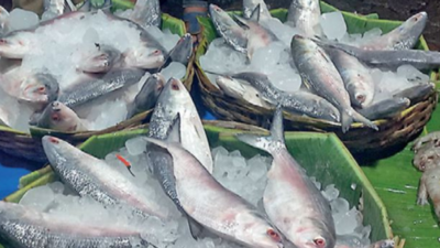 Bangladesh to send 500 tonnes more of hilsa but demand keeps prices high