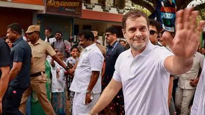 With Rahul Gandhi busy in Bharat Jodo Yatra, has Congress given a walkover in Gujarat assembly election?