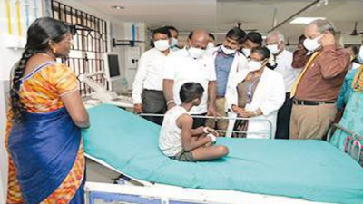 Tamil Nadu has 282 active cases of H1N1, 243 dengue: Health minister Ma Subramanian