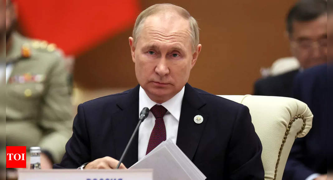 Vladimir Putin says Russia ready to give free fertilisers to developing world – Times of India