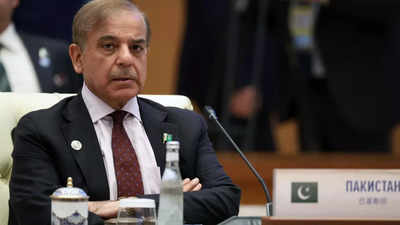 PM Sharif describes Pakistan as a 'sea of water' after floods; calls for action on climate change at SCO summit