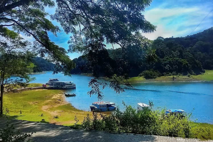 Thekkady