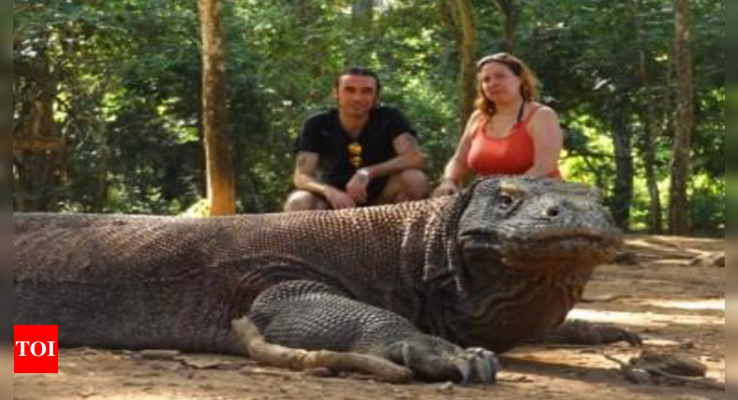 Want to see Komodo dragons? Indonesia is marketing five new tourist destinations