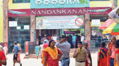 Bhubaneswar: Nandankanan India’s 5th best zoo, lauded for pangolin breeding