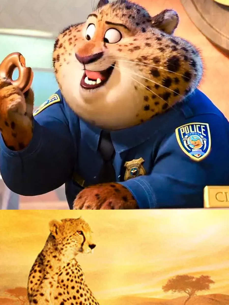 Zootopia to African Cats: 9 films to watch as Cheetahs return to India |  Times of India