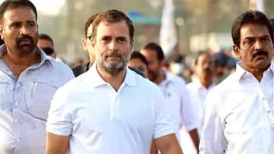 PM releasing cheetahs instead of focusing on unemployment in country, says Rahul Gandhi
