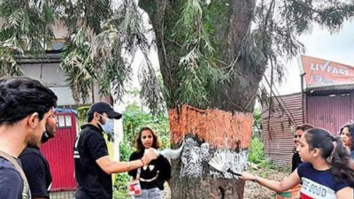 Sahastradhara Road tree axing: Activists to move SC again