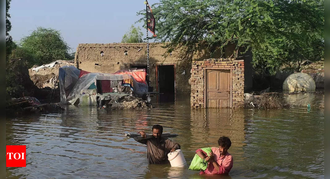 Pakistan floods: Deluge causes health, economic crisis of epic proportions – Times of India